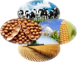 Agropecuaria M.R