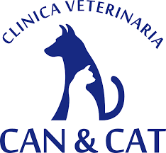 CAN Y CAT 