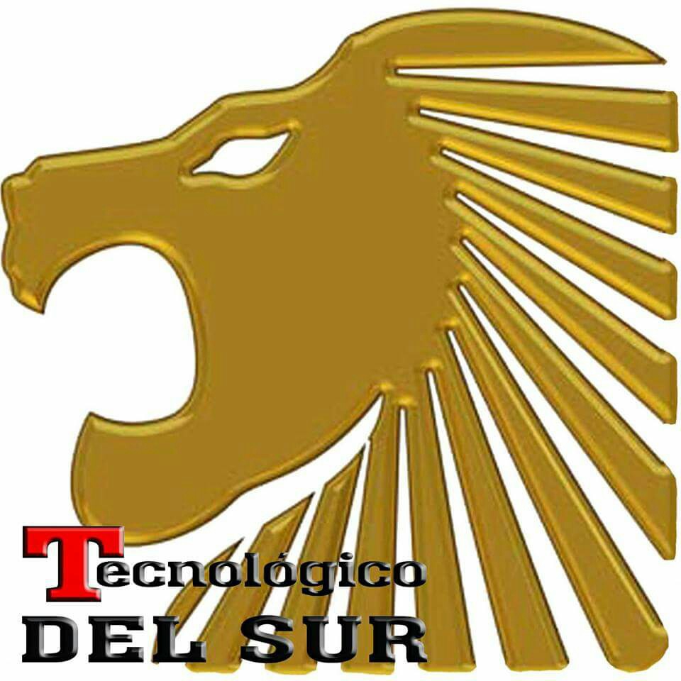 TECNOLÓGICO DEL SUR - imagen 1