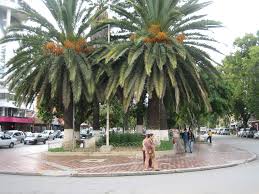 Paseo El Prado - imagen 2