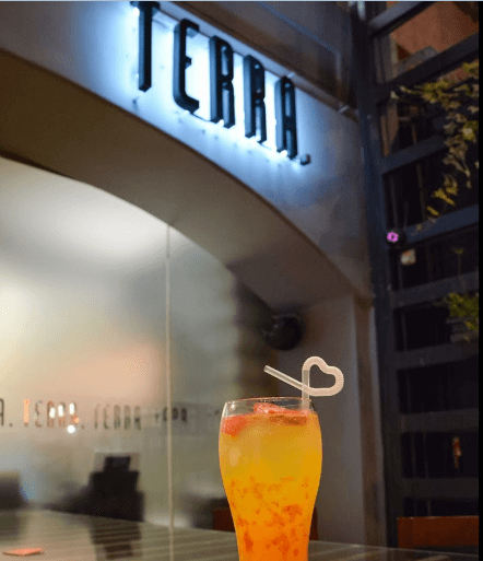 Terra - imagen 2
