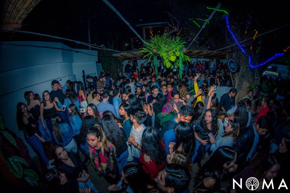 NOMA Lounge - imagen 2