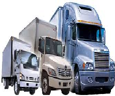 Cotrainco Ltda. - imagen 2