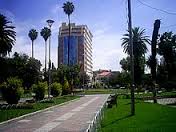 Paseo El Prado - imagen 3