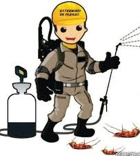 Copesvi Fumigaciones  - imagen 2