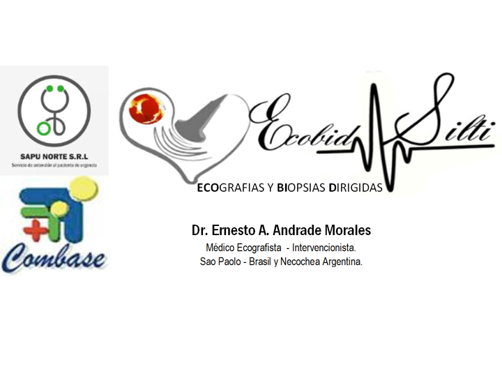 Dr. Ernesto A. Andrade Morales  - imagen 2